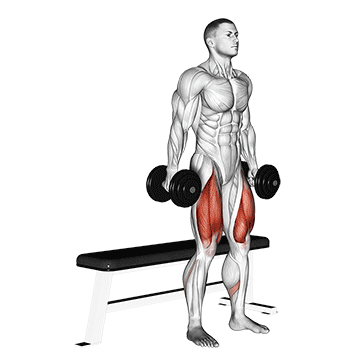 dumbbell bench squat demonstration