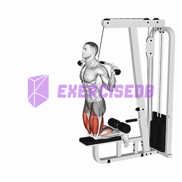 cable assisted inverse leg curl img