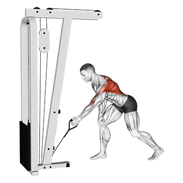 cable one arm bent over row demonstration