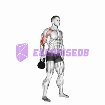kettlebell bottoms up clean from the hang position