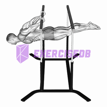 back lever img