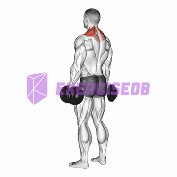 dumbbell shrug