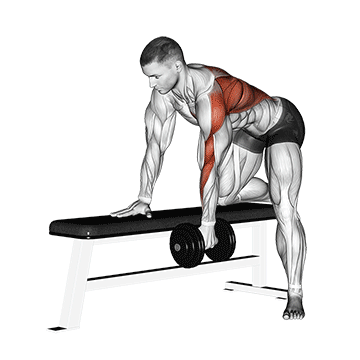 dumbbell one arm bent-over row demonstration