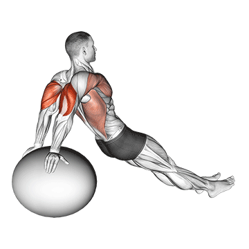 exercise ball dip demonstration
