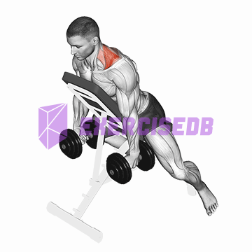 dumbbell decline shrug img