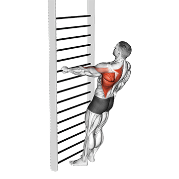 bodyweight standing one arm row demonstration