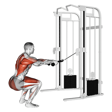 cable squat row (with rope attachment) demonstration