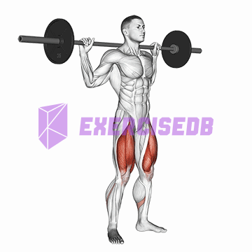 barbell full squat