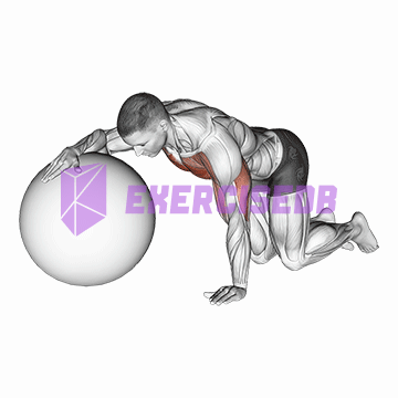 chest stretch with exercise ball img