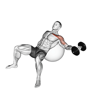 dumbbell incline one arm fly on exercise ball demonstration