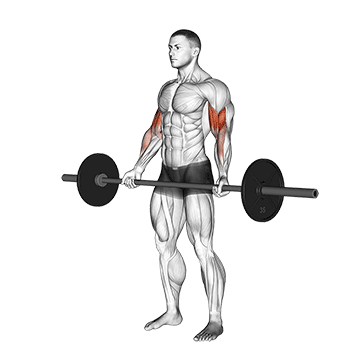 barbell standing wide-grip curl demonstration