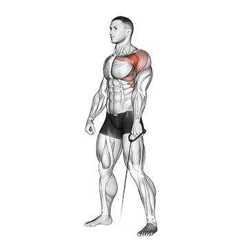 cable forward raise demonstration