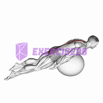 exercise ball back extension with knees off ground img