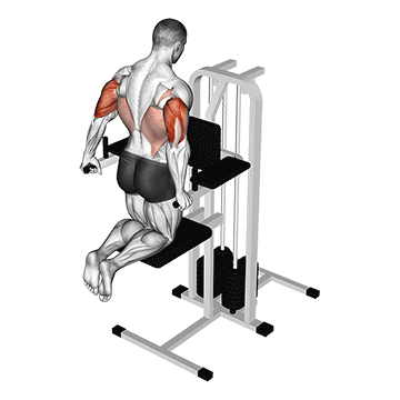 assisted triceps dip (kneeling) demonstration