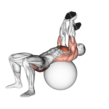 dumbbell pullover hip extension on exercise ball demonstration