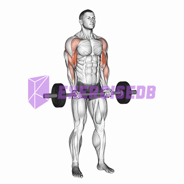 barbell drag curl