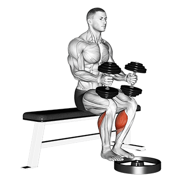 dumbbell seated calf raise demonstration