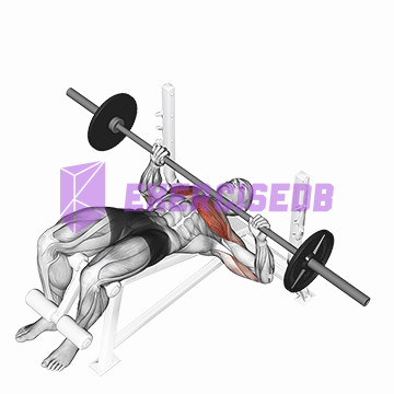 barbell decline bench press