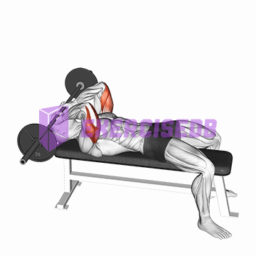 barbell lying triceps extension skull crusher