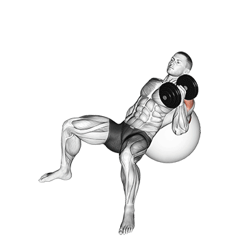 dumbbell incline one arm hammer press on exercise ball demonstration