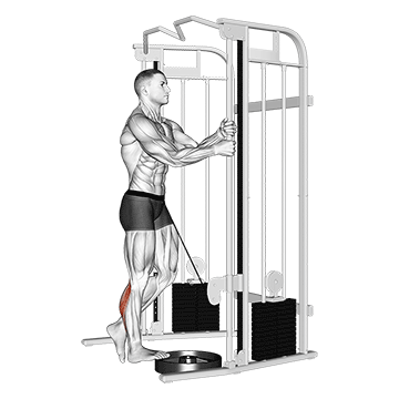 cable standing one leg calf raise demonstration