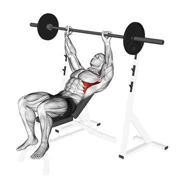 barbell incline shoulder raise demonstration