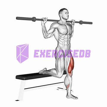 barbell single leg split squat