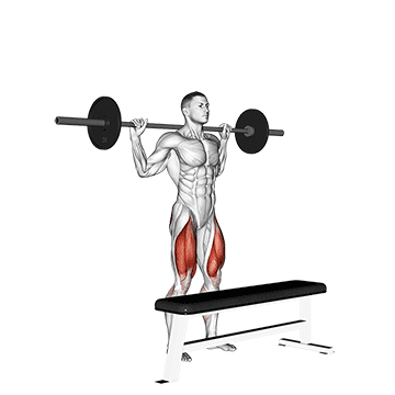 barbell step-up demonstration