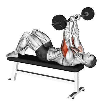 ez barbell jm bench press demonstration