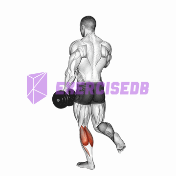 dumbbell single leg calf raise