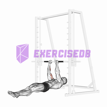 biceps narrow pull-ups