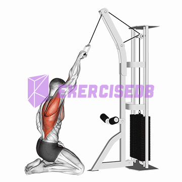 cable one arm straight back high row (kneeling)