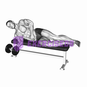 dumbbell lying pronation