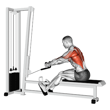 cable rope elevated seated row demonstration