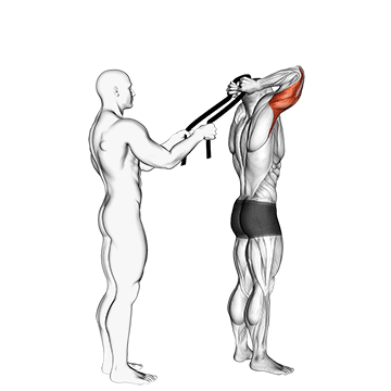 assisted standing triceps extension (with towel) demonstration