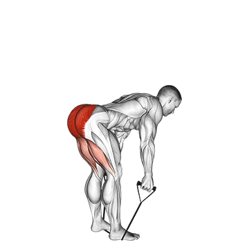 band straight back stiff leg deadlift demonstration