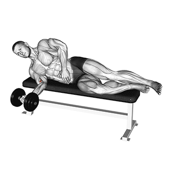 dumbbell lying pronation demonstration