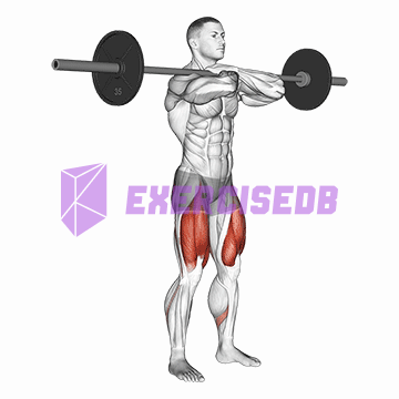 barbell front squat