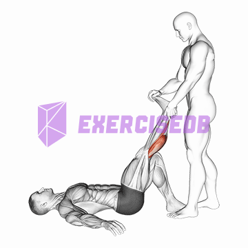 assisted lying calves stretch img