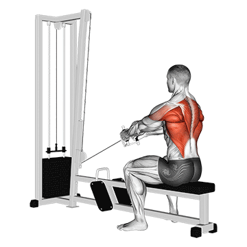 cable upper row demonstration