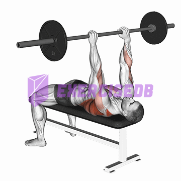 barbell pullover to press