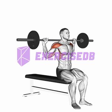 barbell seated behind head military press