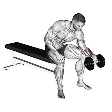 dumbbell one arm reverse wrist curl demonstration