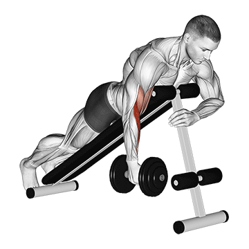 dumbbell one arm prone hammer curl demonstration