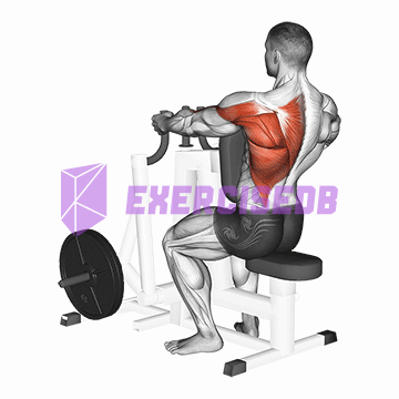 lever alternating narrow grip seated row