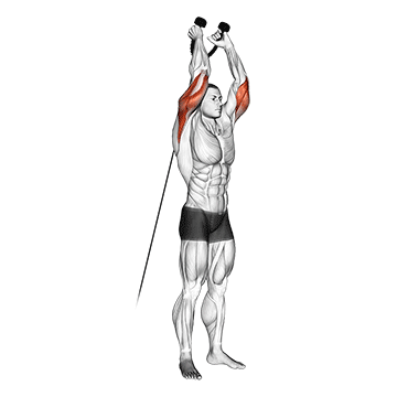 cable overhead triceps extension (rope attachment) demonstration
