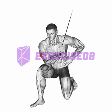 cable concentration extension (on knee)