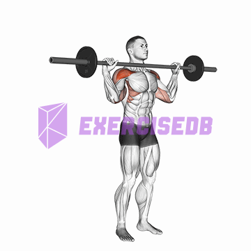 barbell standing bradford press