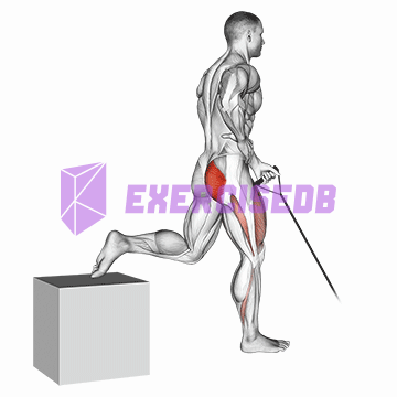 band one arm single leg split squat img