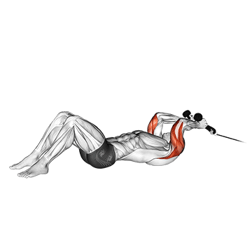 cable rope lying on floor tricep extension demonstration